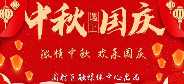 五指山青瓜价格回暖 重新抢占瓜菜市场